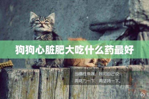 狗狗心臟肥大吃什么藥最好