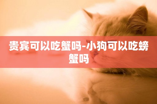 貴賓可以吃蟹嗎-小狗可以吃螃蟹嗎