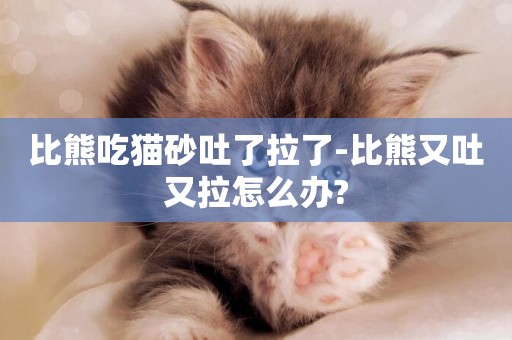 比熊吃貓砂吐了拉了-比熊又吐又拉怎么辦?