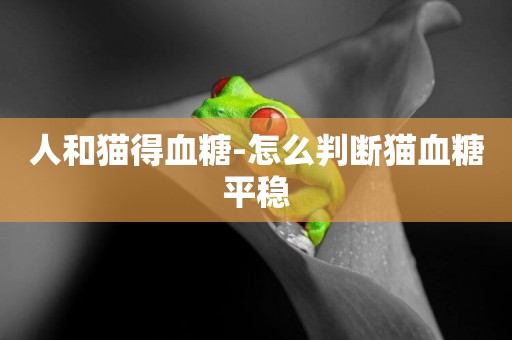 人和貓得血糖-怎么判斷貓血糖平穩