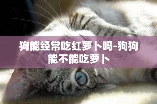 狗能經常吃紅蘿卜嗎-狗狗能不能吃蘿卜