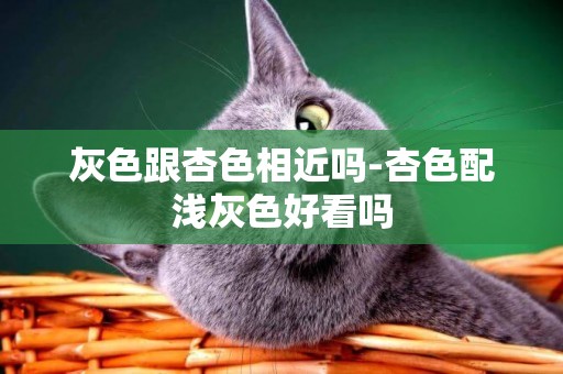 灰色跟杏色相近嗎-杏色配淺灰色好看嗎