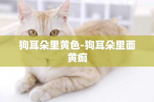 狗耳朵里黃色-狗耳朵里面黃痂