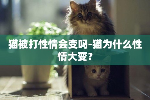 貓被打性情會變嗎-貓為什么性情大變？