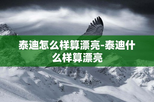 泰迪怎么樣算漂亮-泰迪什么樣算漂亮