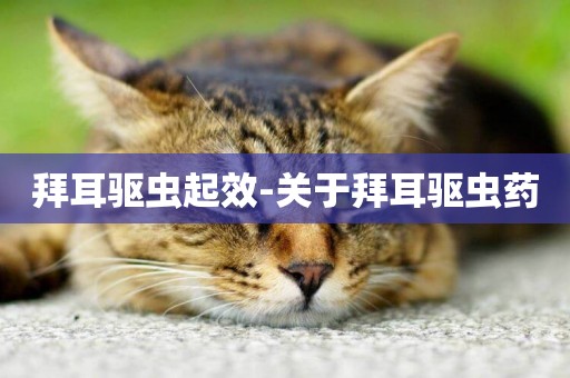 拜耳驅蟲起效-關于拜耳驅蟲藥
