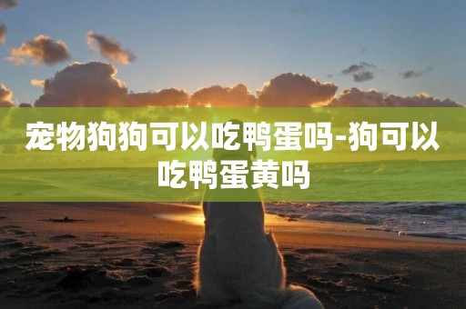 寵物狗狗可以吃鴨蛋嗎-狗可以吃鴨蛋黃嗎