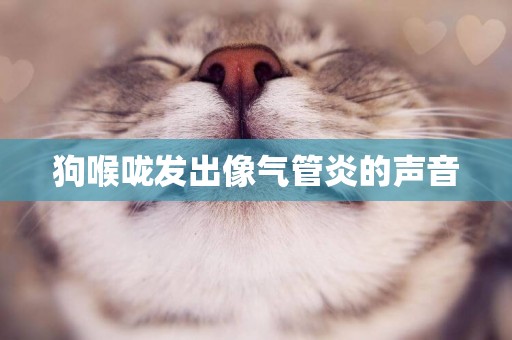 狗喉嚨發出像氣管炎的聲音