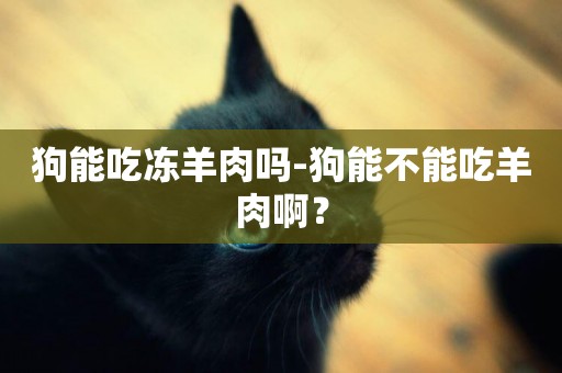 狗能吃凍羊肉嗎-狗能不能吃羊肉啊？