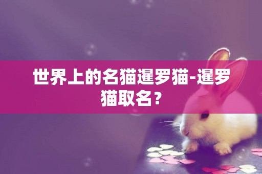 世界上的名貓暹羅貓-暹羅貓取名？