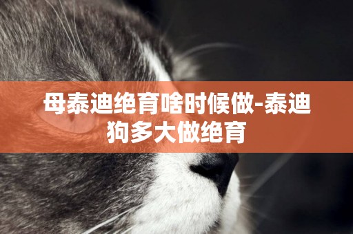 母泰迪絕育啥時候做-泰迪狗多大做絕育