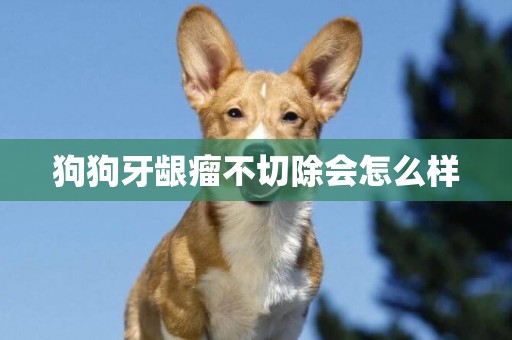 狗狗牙齦瘤不切除會怎么樣