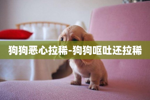 狗狗惡心拉稀-狗狗嘔吐還拉稀