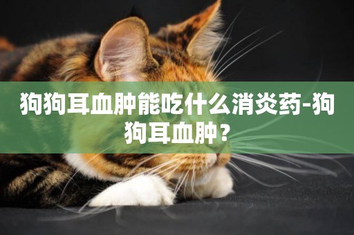 狗狗耳血腫能吃什么消炎藥-狗狗耳血腫？