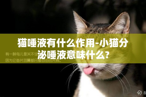 貓唾液有什么作用-小貓分泌唾液意味什么?