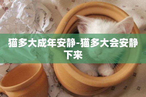 貓多大成年安靜-貓多大會安靜下來