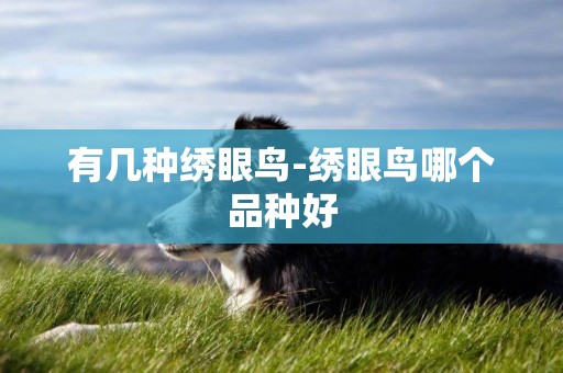 有幾種繡眼鳥-繡眼鳥哪個品種好