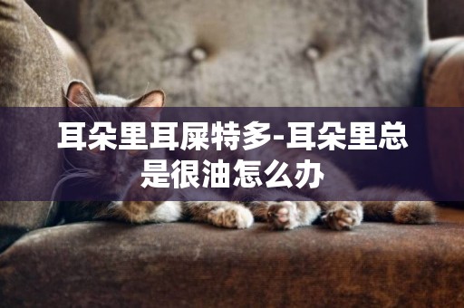 耳朵里耳屎特多-耳朵里總是很油怎么辦