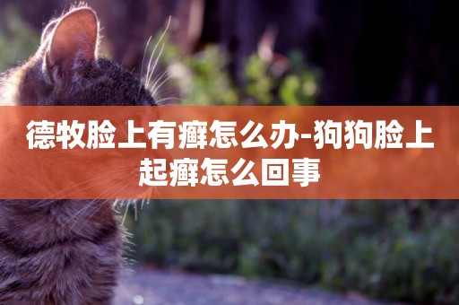德牧臉上有癬怎么辦-狗狗臉上起癬怎么回事