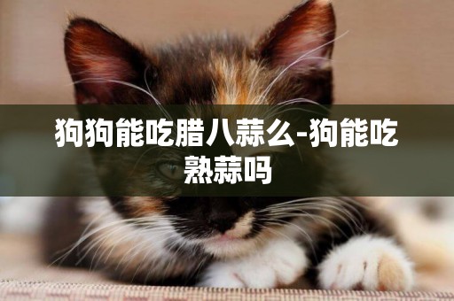 狗狗能吃臘八蒜么-狗能吃熟蒜嗎
