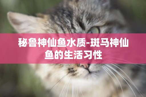 秘魯神仙魚水質-斑馬神仙魚的生活習性