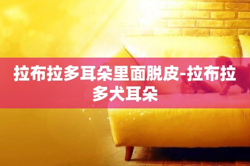 拉布拉多耳朵里面脫皮-拉布拉多犬耳朵