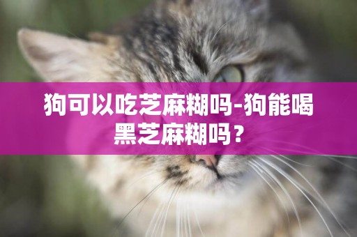 狗可以吃芝麻糊嗎-狗能喝黑芝麻糊嗎？