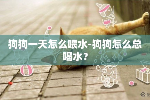 狗狗一天怎么喂水-狗狗怎么總喝水？
