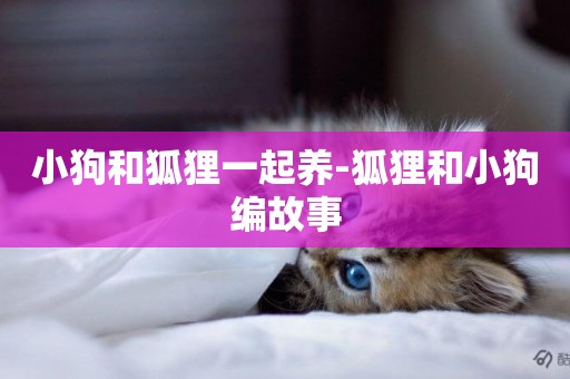 小狗和狐貍一起養-狐貍和小狗編故事