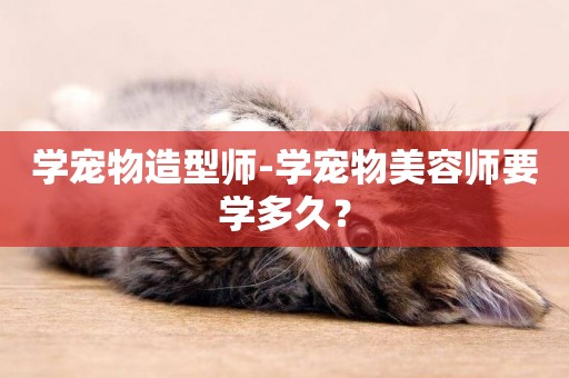學寵物造型師-學寵物美容師要學多久？