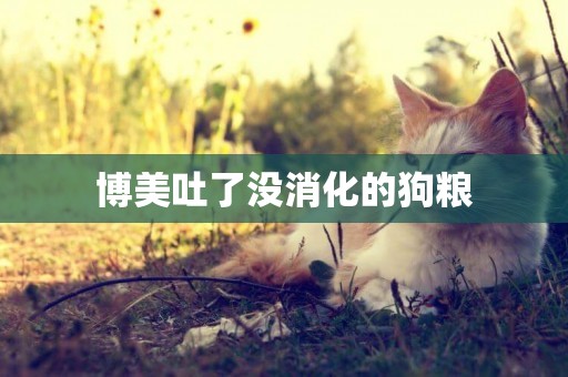 博美吐了沒消化的狗糧