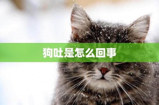 狗吐是怎么回事