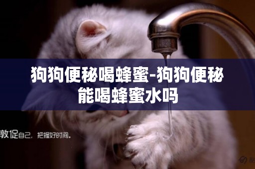 狗狗便秘喝蜂蜜-狗狗便秘能喝蜂蜜水嗎