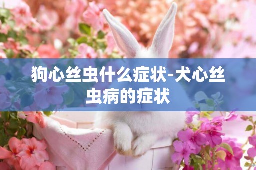 狗心絲蟲什么癥狀-犬心絲蟲病的癥狀