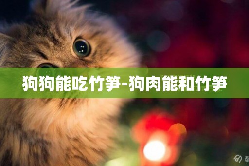 狗狗能吃竹筍-狗肉能和竹筍