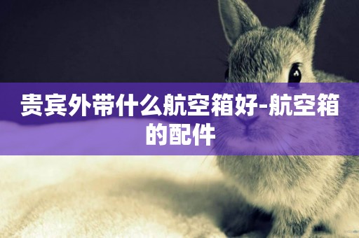 貴賓外帶什么航空箱好-航空箱的配件