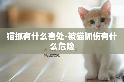 貓抓有什么害處-被貓抓傷有什么危險