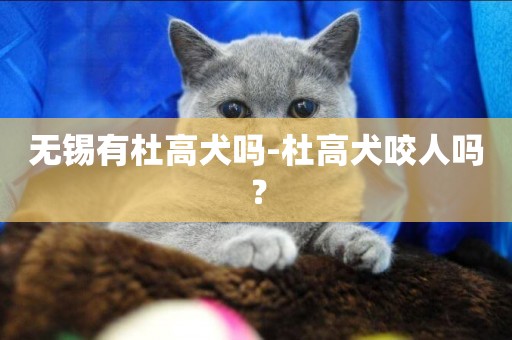 無錫有杜高犬嗎-杜高犬咬人嗎？