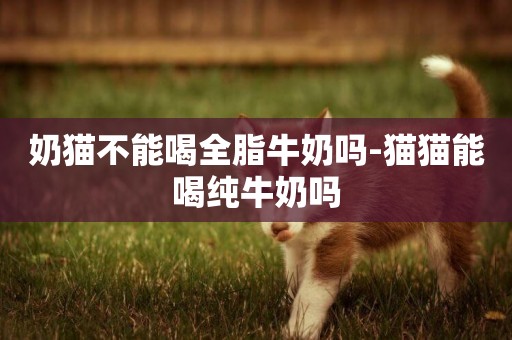 奶貓不能喝全脂牛奶嗎-貓貓能喝純牛奶嗎