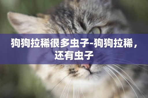 狗狗拉稀很多蟲子-狗狗拉稀，還有蟲子