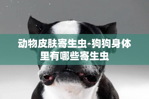 動物皮膚寄生蟲-狗狗身體里有哪些寄生蟲