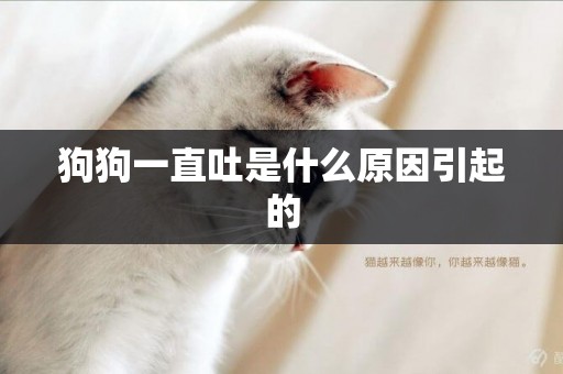 狗狗一直吐是什么原因引起的