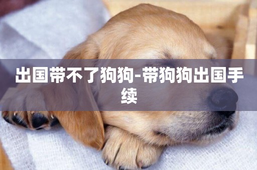 出國帶不了狗狗-帶狗狗出國手續