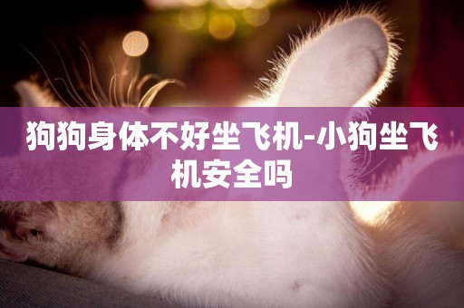狗狗身體不好坐飛機-小狗坐飛機安全嗎