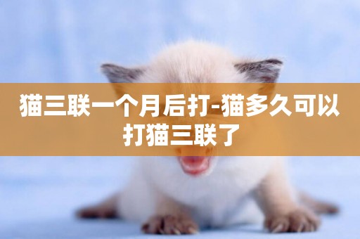 貓三聯一個月后打-貓多久可以打貓三聯了