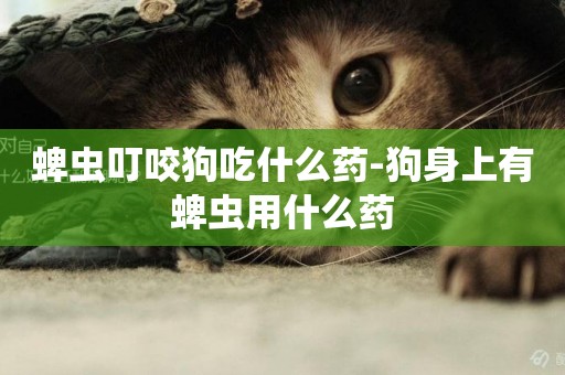 蜱蟲叮咬狗吃什么藥-狗身上有蜱蟲用什么藥