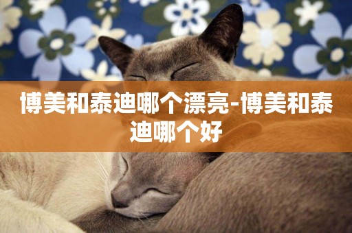 博美和泰迪哪個漂亮-博美和泰迪哪個好