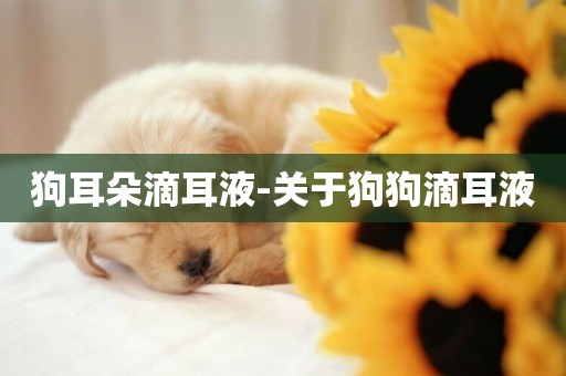 狗耳朵滴耳液-關于狗狗滴耳液