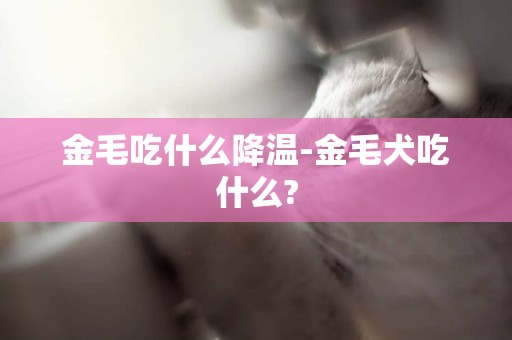 金毛吃什么降溫-金毛犬吃什么?
