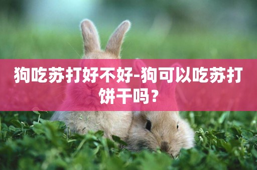 狗吃蘇打好不好-狗可以吃蘇打餅干嗎？
